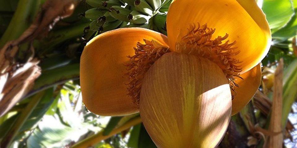 Ressourcenarbeit_in_der_Rolle_als_Frau