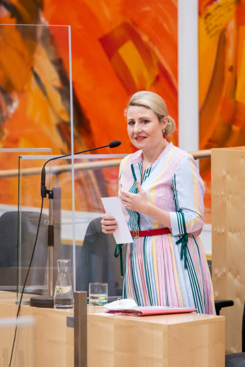 938. Sitzung des Bundesrates in der 27. Gesetzgebungsperiode